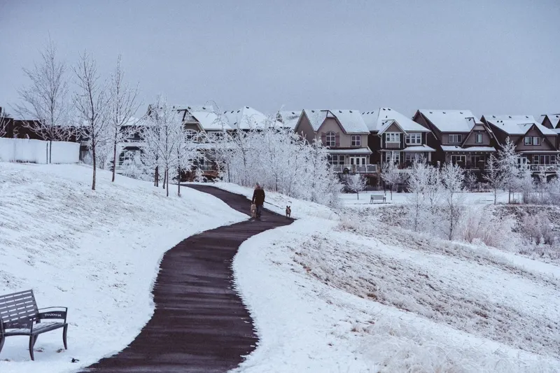 Snow-covered street beside townhomes in winter.