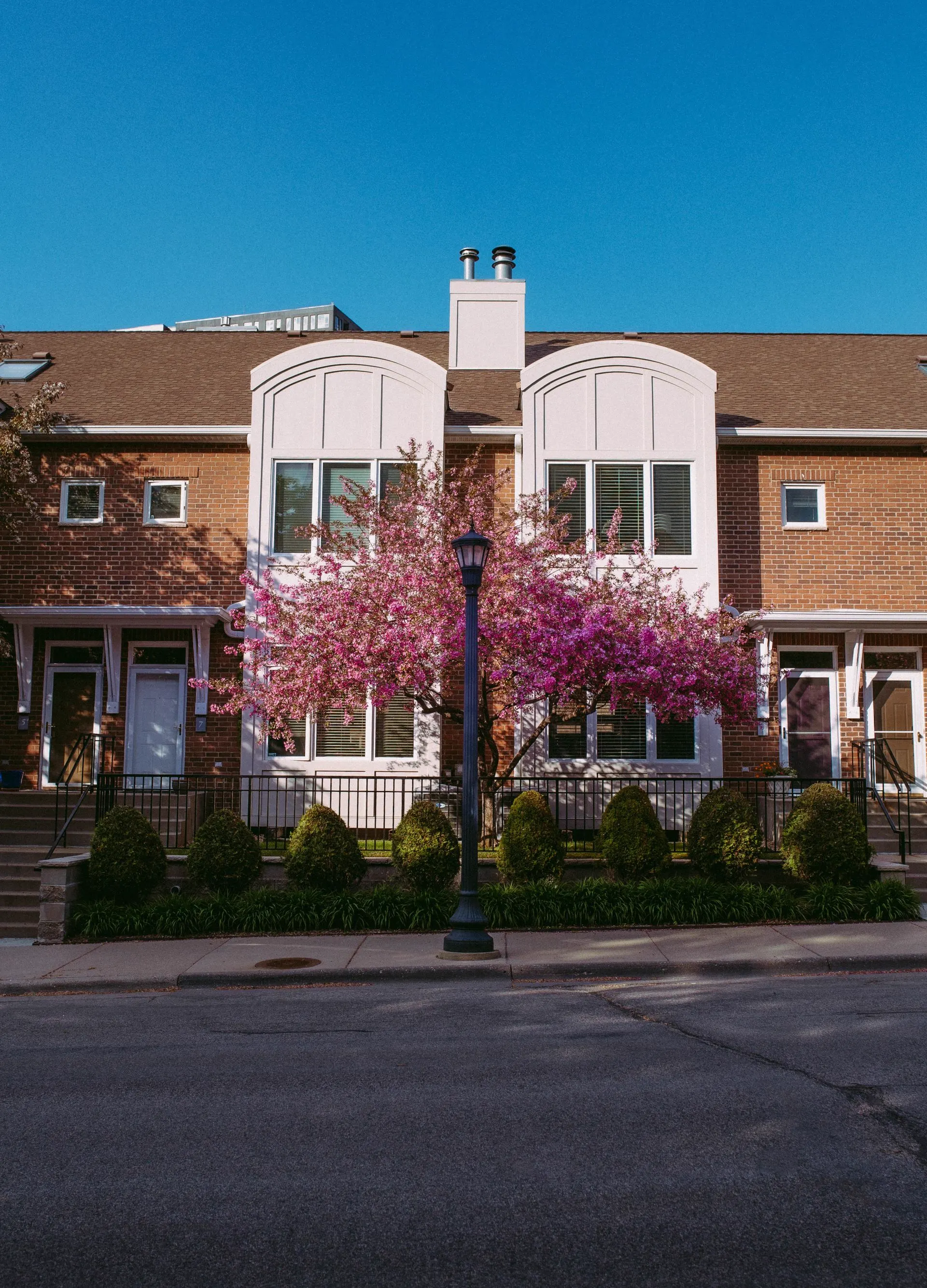 Modern townhome entrance with a blossoming tree in spring